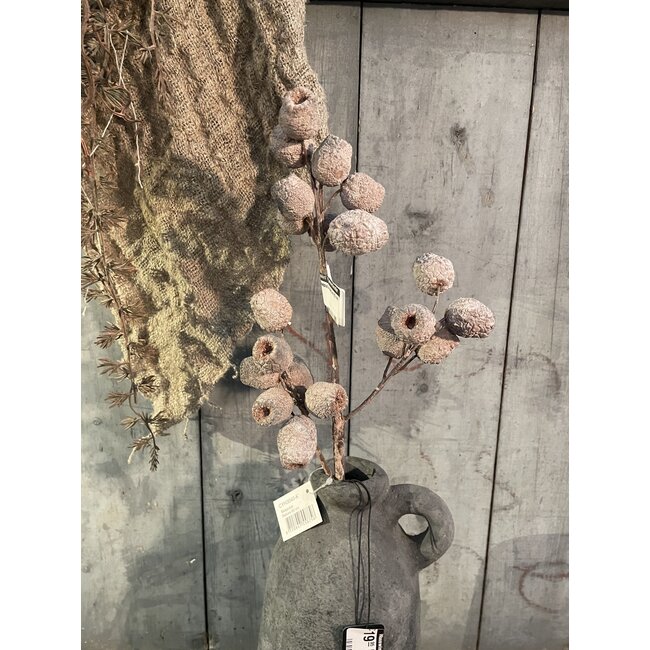 ## Mespulus Nature 60 cm