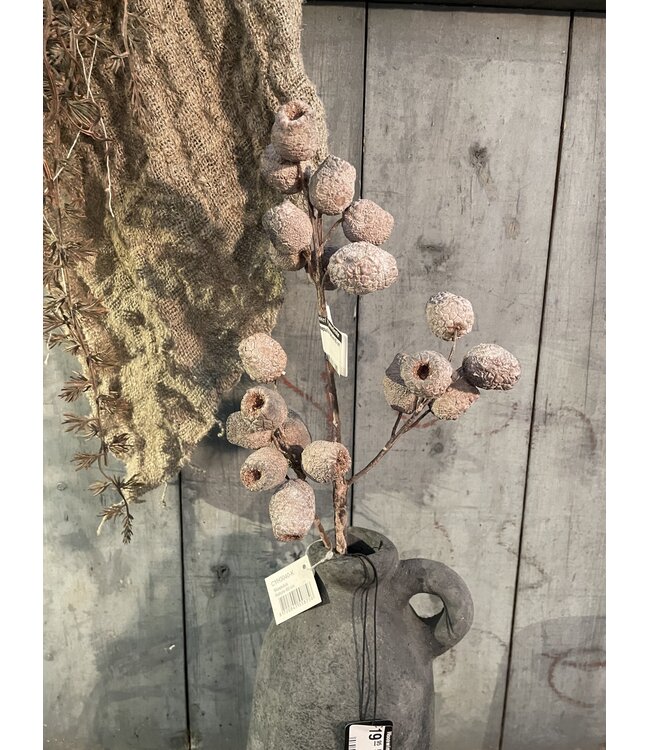 ### Mespulus Nature 60 cm
