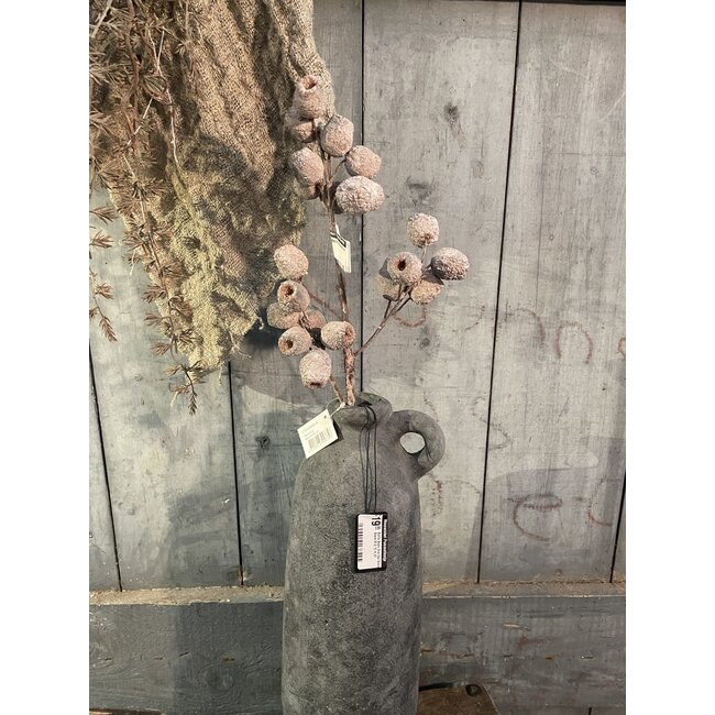 ## Mespulus Nature 60 cm