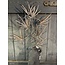 Maple Leaf x7 99cm - goud