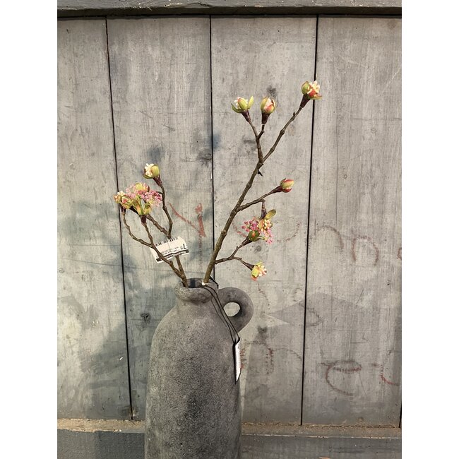 Countryfield ## Esdoorn fruit tak Quince S roze-L55B12,5H2,5CM
