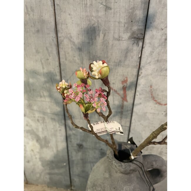 Countryfield ## Esdoorn fruit tak Quince S roze-L55B12,5H2,5CM
