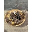 Countryfield Dennenappel bundel sneeuw-L10B19H29CM