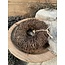 # Salimkrans naturel 15 x 5 cm