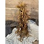 Countryfield Hertshoorn - platycerium - hang - bruin - 90 cm