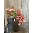 ## Wisteria Ant. Pink 100 cm