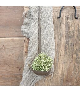 @ Waxinelepel rusty brown - 30 x 8 x 8 cm