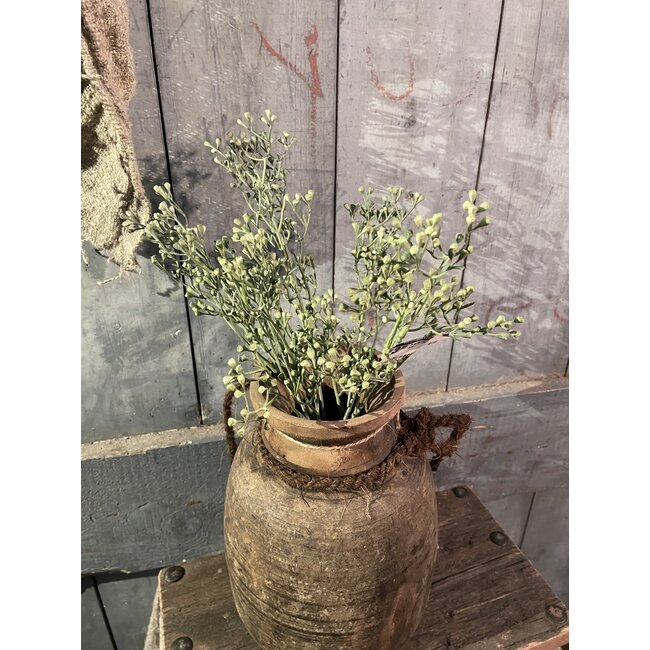 ## Stellaria Grey Green Bush 41 cm