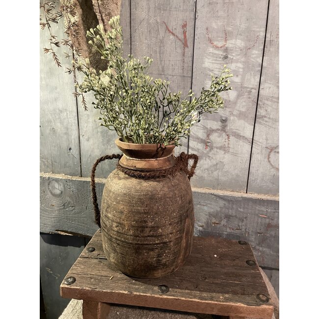 Stellaria Grey Green Bush 41 cm