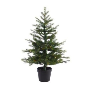 680300-christmas tree