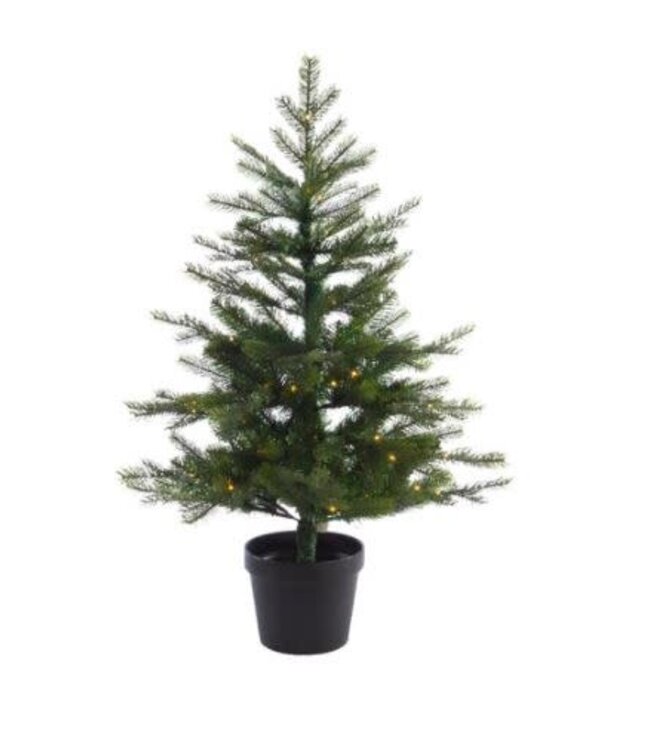 680300-christmas tree
