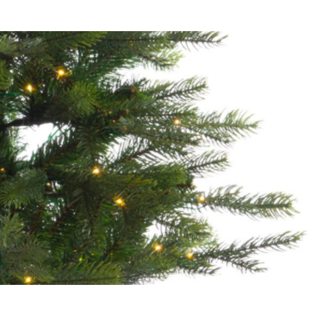 680300-christmas tree