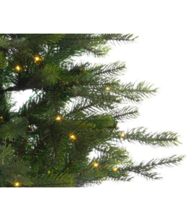 680300-christmas tree