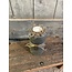 # Tealightholder Cylinder with Rope Majestic Vintage - Middelste