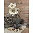 Still # 43621 - Zwart/grijze vaas "Fan" 14 cm - M - Earth