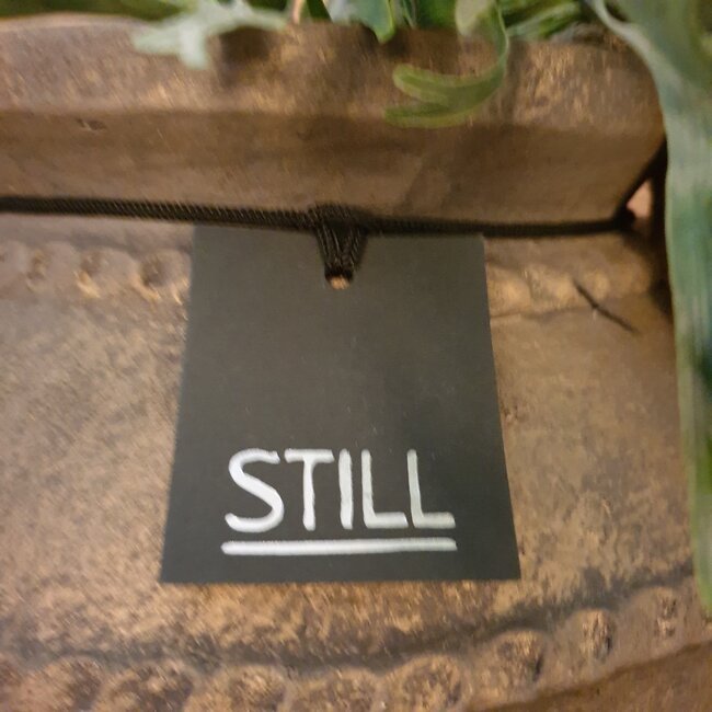 Still 3404 - Gouden bloempot "Rib" - M - Gold