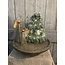 # Nobilis X-Tree with LED-wire S D.25 H.32