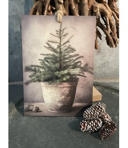## Decobordje - dennenboom- hout aan touw - 15 x 1 x 21 cm