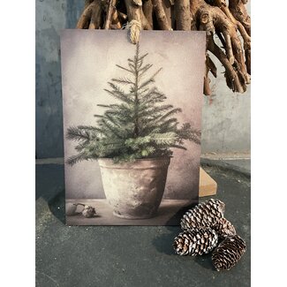 # Decobordje - dennenboom- hout aan touw - 15 x 1 x 21 cm