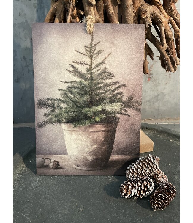 ### Decobordje - dennenboom- hout aan touw - 15 x 1 x 21 cm