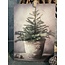 Decobordje - dennenboom- hout aan touw - 15 x 1 x 21 cm