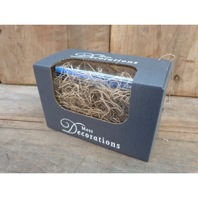 # Doosje met 30 gram tilandsia - tillandsia - naturel