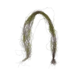 Countryfield # salim bundle naturel/groen-L16B16H130CM