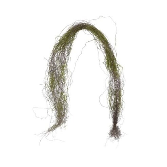 Countryfield # salim bundle naturel/groen-L16B16H130CM
