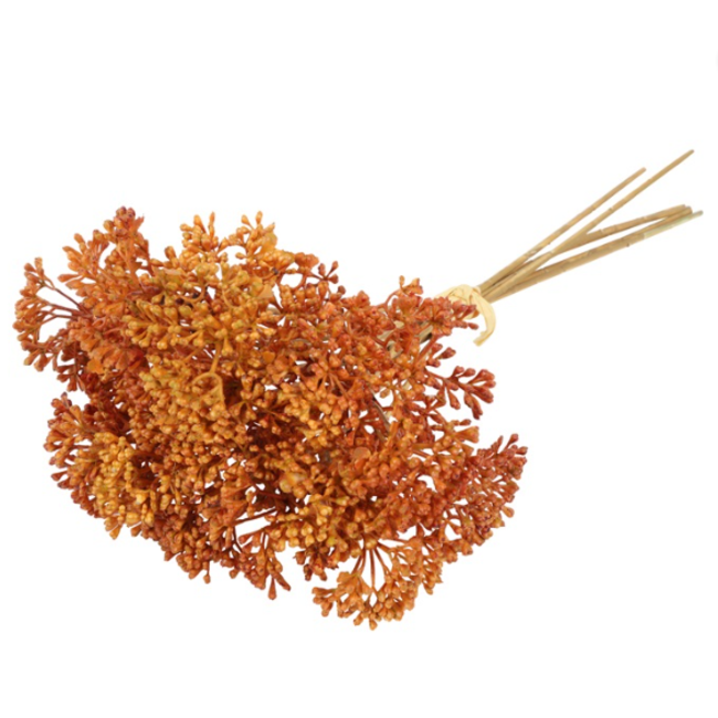 Countryfield ## Achillea oranje-L24B13H10CM