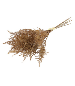 Countryfield ## Asparagus bruin-L24B12H10CM