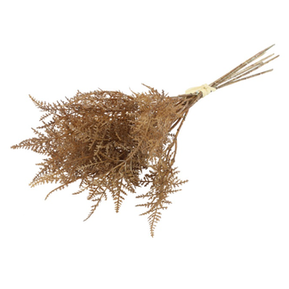 Countryfield ## Asparagus bruin-L24B12H10CM