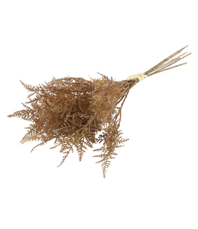 Countryfield ### Asparagus bruin-L24B12H10CM