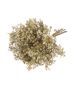 Countryfield Gypsophila-L24B15H10CM