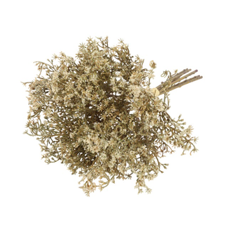 Countryfield ## Gypsophila-L24B15H10CM