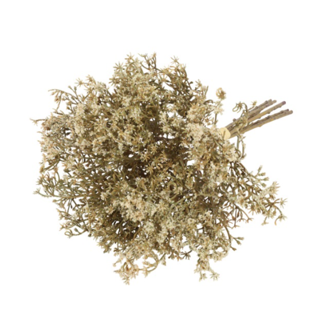 Countryfield ## Gypsophila-L24B15H10CM