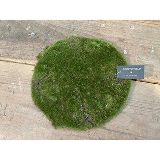 Countryfield # Mosschijf Marchantiophyta ro M groen-L26B26H2CM