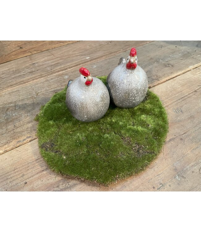 Countryfield Mosschijf Marchantiophyta ro M groen-L26B26H2CM