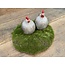 Countryfield # Mosschijf Marchantiophyta ro M groen-L26B26H2CM