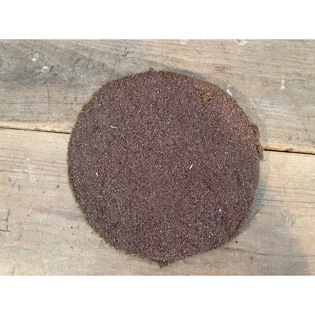 Countryfield Mosschijf Marchantiophyta ro M groen-L26B26H2CM