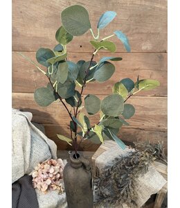 Countryfield Groene eucalyptus 90 cm