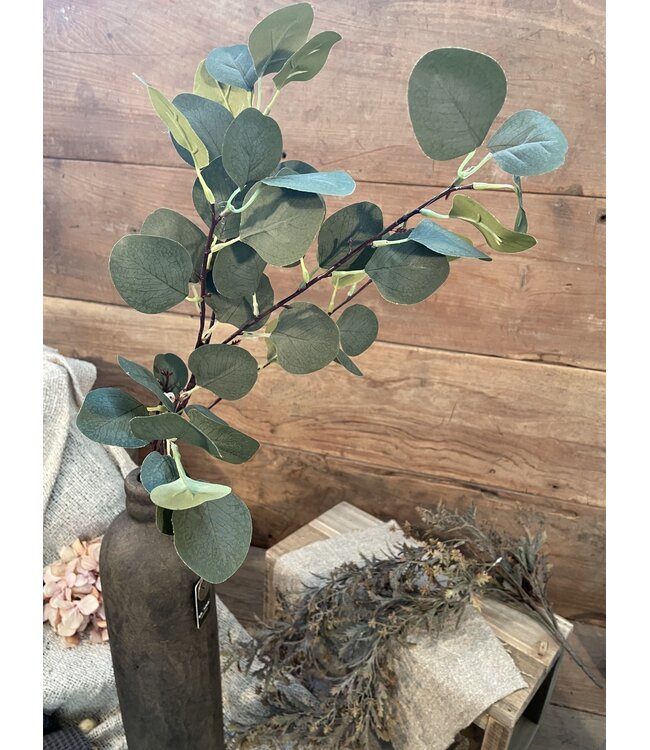 Countryfield Groene eucalyptus 90 cm