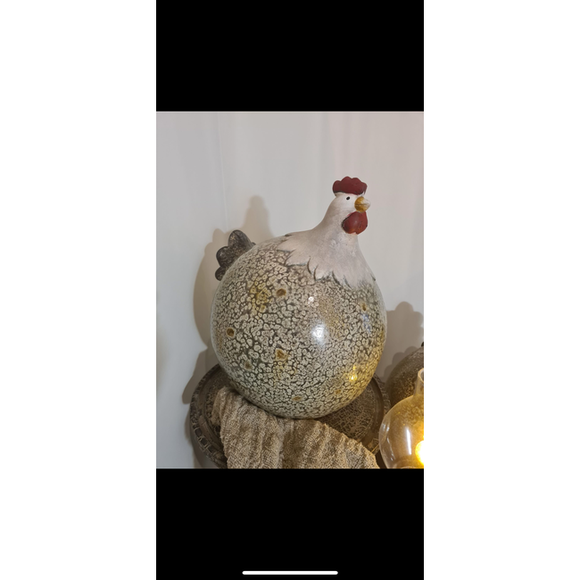 Countryfield # Kip Tim dik xXL veelkleurig- per stuk