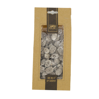 Casuarina 100gr pbm  - white wash