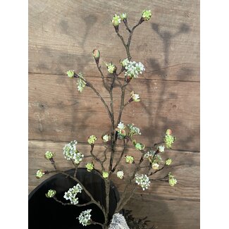 ## Esdoorn fruit tak Quince  L wit - 110 x 22 x 4 cm