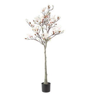Countryfield Magnolia S wit-L80B80H150CM