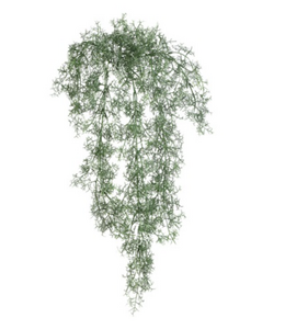 Countryfield Santolina groen-L21B15H78CM