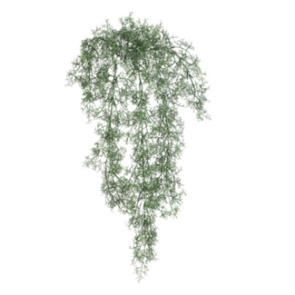 Countryfield # Santolina groen-L21B15H78CM