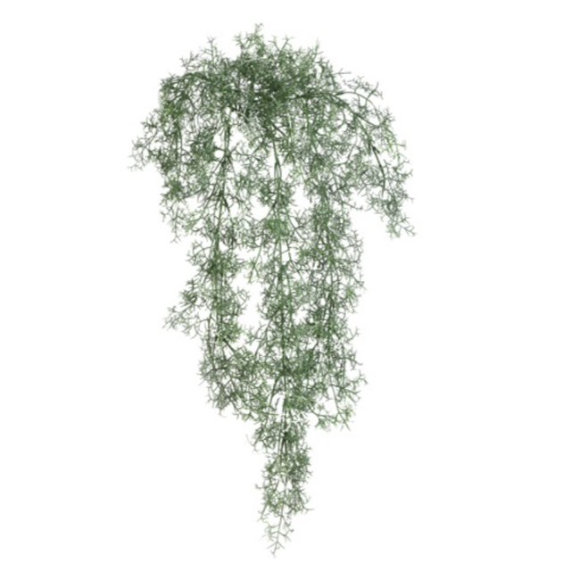 Countryfield # Santolina groen-L21B15H78CM