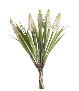 Muscari Bundle x5 L28cm White