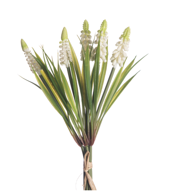 Muscari Bundle x5 L28cm White
